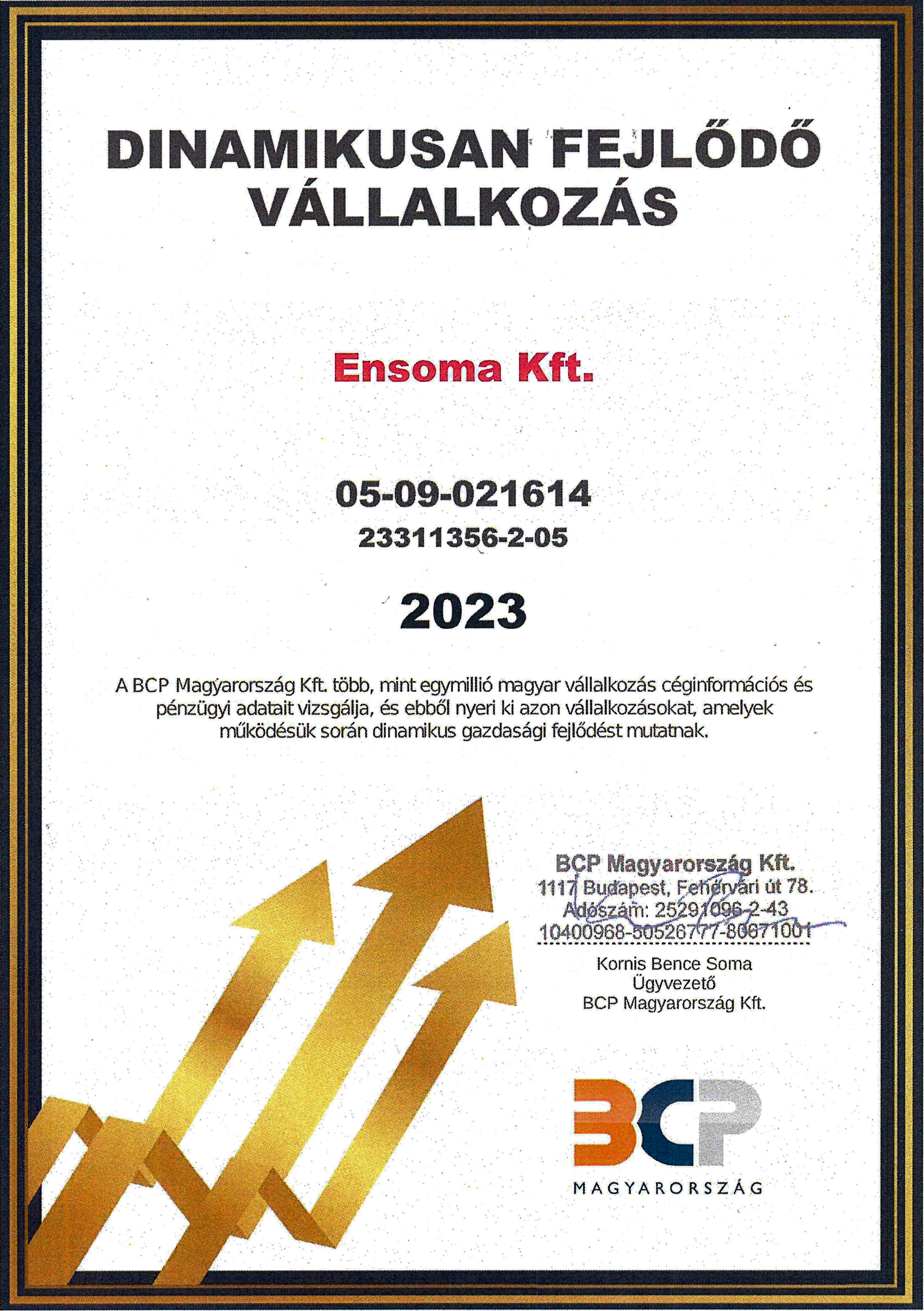 Ensoma dinamikusan fej